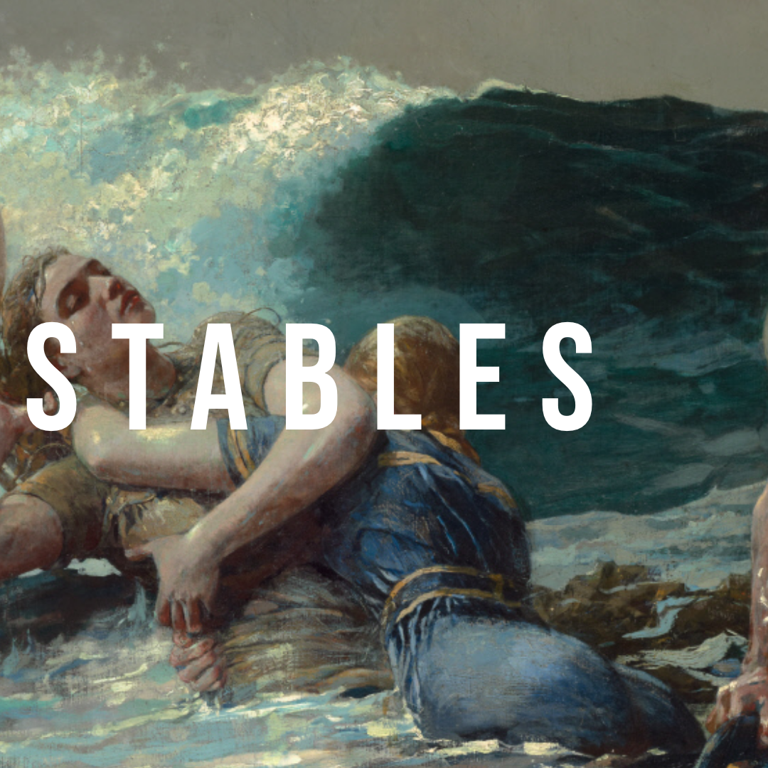Stable on Stables — Substack